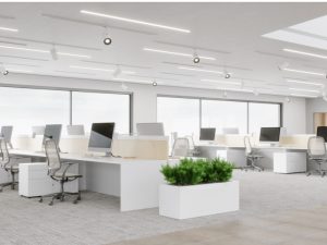 竹割り箸のサステナブル調達でプラスチック廃棄物320万トンを削減する実践的ガイド